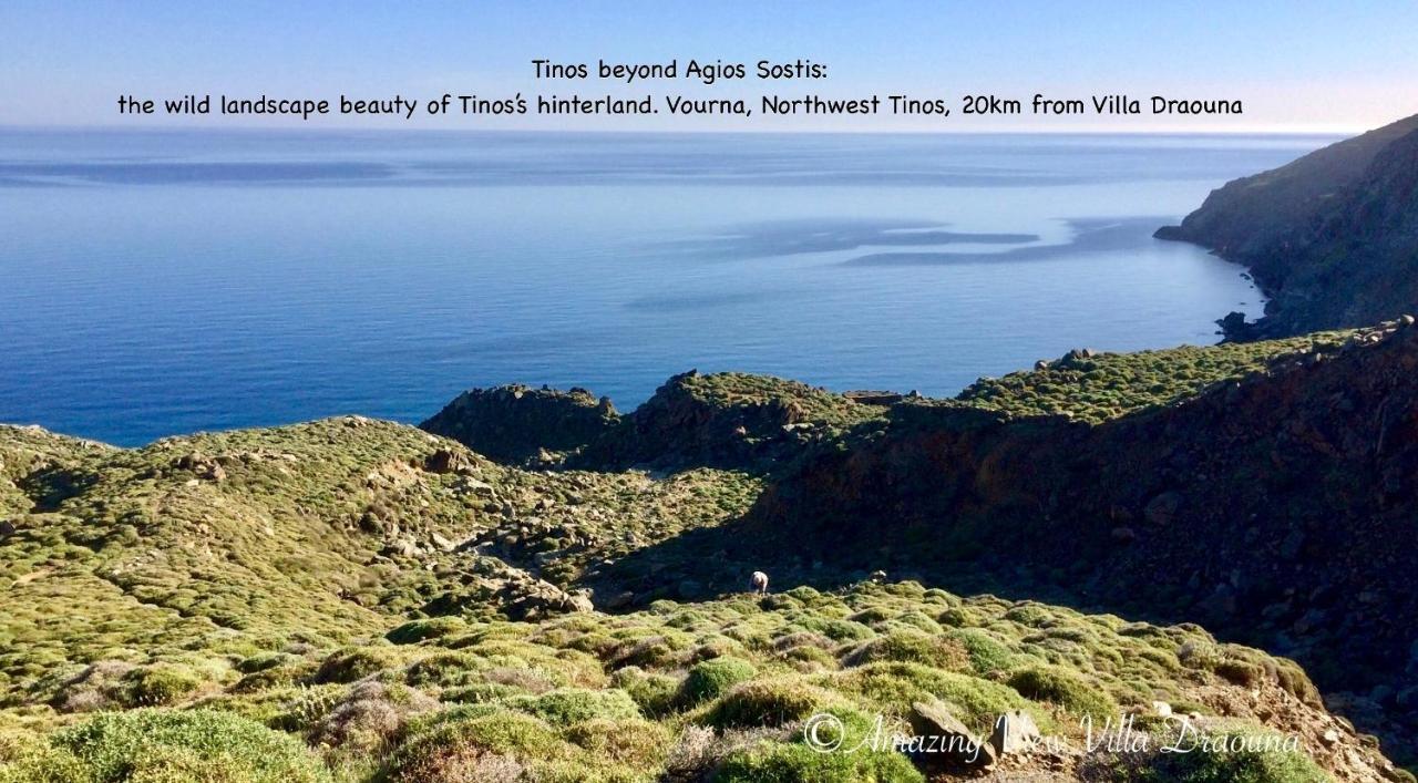 Amazing View Villa Draouna, Agios Sostis, Tinos Агиос-Состис Экстерьер фото