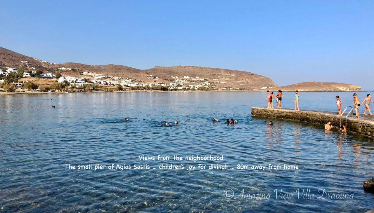 Amazing View Villa Draouna, Agios Sostis, Tinos Агиос-Состис Экстерьер фото